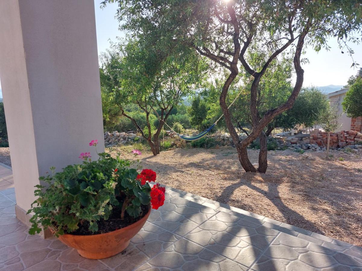 Olive Garden House Sibenikヴィラ エクステリア 写真